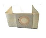 Lot de 10 sacs aspirateur ICA YP 1/6 ECO B