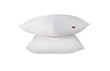 Abeil Oreiller Classique Dourêve Absolu Oreillers Polyester Blanc 60 x 60 cm Lot de 2