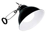 Exo Terra PT2052 Glow Light/ Reflector, Small, 14 cm