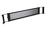 Amzdeal Aquarium Lampe 50CM 72LED SMD 2 Modes Extensibles Avec Plug EU éclairage pour aquarium poissons Lampe sous l'eau AC100-240V 60 Blanc+ 12 Bleu