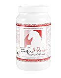 Construction pour votre cheval. Pour une meilleure musculaire et plus rapide guérison. Gamma oryzanol, Spiruline et chlore Ella, Pure Acides Aminés (Lysine, tryptophane, méthionine), plantes médicinales et des vitamines. Complément alimentaire de haute qualité Moyen (1,5 kg) pour chevaux. equimove Motion musculaire (Autrefois : Force Musculaire).