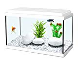 AQUARIUM NANOLIFE KIDZ 30 BLANC