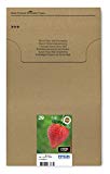 EPSON C13T29864511 Encre d'origine Multipack Fraise T2986 : cartouches Noir, Cyan, Magenta et Jaune [Emballage « Déballer sans s'énerver par Amazon »]