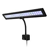 Amzdeal Lampe à Clip 60LED 5730SMD pour 50-80cm Aquarium, éclairage LED 48 Blanc + 12 Bleu avec 2 Modes pour poissons, AC110-240V Plug EU