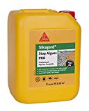 Traitement algicide et fongicide concentré - Sikagard Stop Algues PRO - 5L