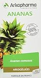 Arkopharma Phytothérapie Standard Arkogélules Ananas Flacon de 45 Gélules