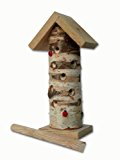 Wildlife World Tour de Coccinelle