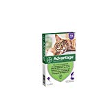 Advantage 80 Chat/Lapin 4-10 kg 4 pipettes antiparasitaires