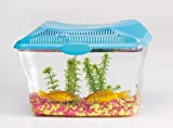 Savic Aquarium Aqua Smile 30 X 20 X 23 cm