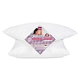 ABEIL Lot de 2 Oreillers a mémoire de forme matelassés 60x60 cm blanc