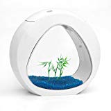All Pond Solutions 7 Nano Curve Aquarium d'Eau Froide/Tropical Éclairage LED 6 L