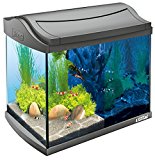 Tetra AquaArt Discovery Line Aquarium en kit complet avec LED 20 L anthracite (avec éclairage LED, Circuit de lumière de jour et de nuit, Filtre intérieur et pompe pour aquarium, idéal pour crevettes)