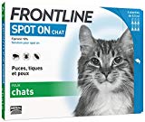 Frontline Spot-on Chat - Anti-puces et anti-tiques pour chat - 6 pipettes