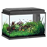 AQUARIUM AQUASTART 55 LED NOIR 57 LITRES