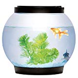 Aquarium en verre rond avec 2 LED (Noir) - 5 l - Sentik