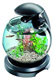 Tetra Cascade Globe Noire - Aquarium pour Poisson Combattant ou Poisson Rouge - 6,8L