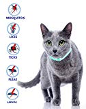Meilleur Collier de Tiques pour Petits, Moyens et Grands Chiens et Chats, Imperm¨¦able, Protection Contre les Puces et les Tiques Naturelles Protection Efficace Contre les Puces