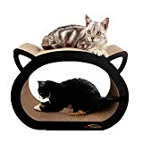 Arbre à chat Petcheer, griffoir et zone de détente pour chat avec herbe à chat