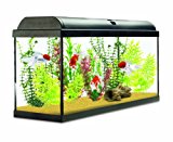 Interpet Aquaverse Aquariums en verre, Kit complet pour débutant/avancé Start Up