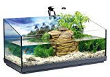 Tetra Repto AquaSet - Aquaterrarium Complet pour Reptiles et Amphibiens
