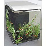 Nano Aquarium HOME 8 Superfish BLANC
