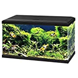 Ciano - Aquarium 60 LED - Noir